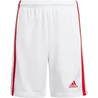 Adidas Shorts SQUAD 21 SHO Y gn5763