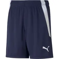 Puma teamLIGA Shorts Jr 704931-006