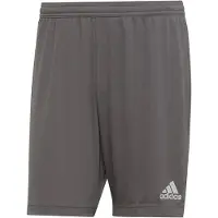 Adidas Entrada 22 Shorts