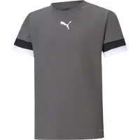 Puma Funktionstopp 'TeamRise' mörkgrå / svart / vit