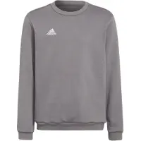 Adidas Entrada 22 Stadium Sw Tröja