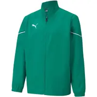 Puma Sportjacka 'TeamRise' grön / vit