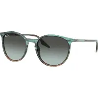 Ray-Ban 0RB2204 Solglasögon -