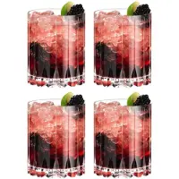 Riedel Drink Specific - Double Rocks Glas Value Set – 4 Glas