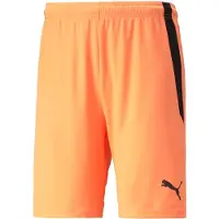 Puma Shorts Teamliga - Orange/svart, storlek Small