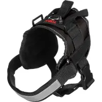 Flamingo Xtreme Teflon Hundsele