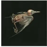 Ginza.se Susanna & Jenny Hval: Meshes of Voices