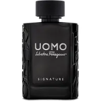 Salvatore Ferragamo Uomo Signature Eau de Parfum 100 ml