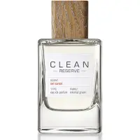 Clean Sel Santal EDP W 100 ml