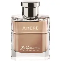Baldessarini Ambré Eau de Toilette 50 ml