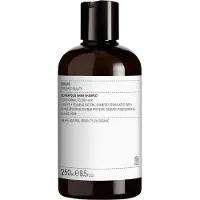 Evolve Organic Beauty Evolve-Organic-Beauty Har ShampooSuperfood Shine Shampoo