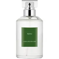 Ulrich Lang New York Apsu Eau de Toilette 100 ml