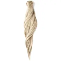 Rapunzel of sweden Ponytail Straight / Clip-in / Medium Volume 10.7 Light Grey 40 cm Löshår 80 g
