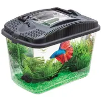 Axentia Aquarium Betta Kit - för militia 3L