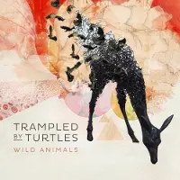 Ginza.se Trampled By Turtles: Wild Animals