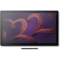 Wacom Dth227k0b Ritplatta