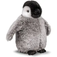 Tobar Emperor Penguin Chick