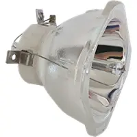 Epson ELPLP92 (V13H010L92) originallampa utan modul
