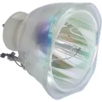 Acer PD110Z kompatibel lampa utan modul