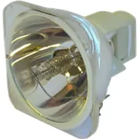 Toshiba TDP-SW1 kompatibel lampa utan modul
