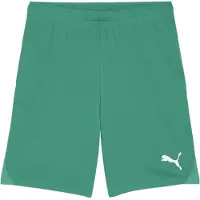 Puma Fotbollsshorts teamGOAL - Grön/White, storlek 3XL