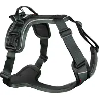 Non-Stop Dogwear Ramble Harness Green