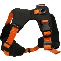 Dogman Sportsele Emmi orange XL