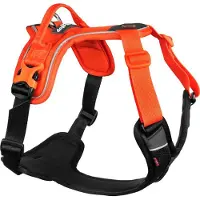 Non-Stop Dogwear Ramble Harness Orange