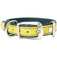 My Family Firenze Hundhalsband