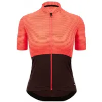 Santini Colore Riga Korta ärmar Cykeltröja