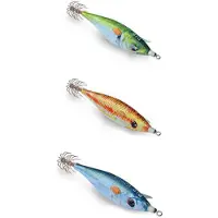 Dtd Ballistic Full Color 3.0 Bläckfiskjigg