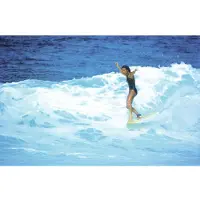 Divine Jericho Poppler Haleiwa 1979 Affisch