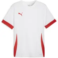Puma Funktionstopp 'TeamGoal Matchday' röd / vit