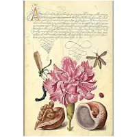 Pink Carnation (Mira Botanica) Ultra Unlined Softcover Flexi Journal (Elastic Band Closure)