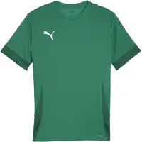 Puma Tränings T-Shirt teamGOAL - Grön/Svart, storlek 3XL