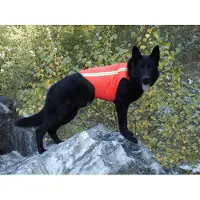 K9 Thorn Varselväst till Hund (Storlek: Small)