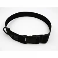 K9 Thorn 25mm Halsband med D-Ring (Färg: Svart, Storlek: Large)