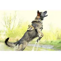 K9 Thorn Hundsele Delta (Färg: Coyote, Storlek: Medium)