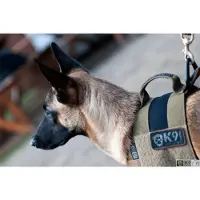 K9 Thorn Hundsele Alpha (Färg: Svart, Storlek: XL)