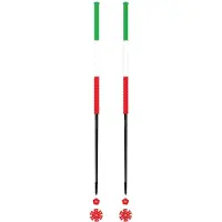 Les batons d'Alain - Skidstavar - Italie för Unisex - Storlek 115 cm - Grön