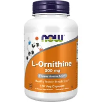 Now , L-Ornithine, 500 mg, 120 Veggie Capsuler