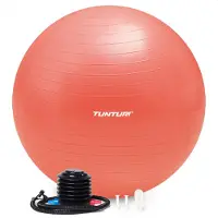 Tunturi Anti Burst Gymboll 65-90cm (rose gold) - 75cm