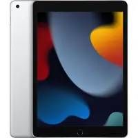 Apple iPad 256 GB 25,9 cm (10.2") Wi-Fi 5 (802.11ac) iPadOS 15 Silver