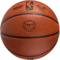 Wilson NBA Authentic, Brun, Inomhus & utomhus, NBA, 1 styck