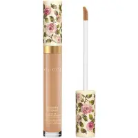 Gucci Concentré de Beauté Concealer 8 ml Nr. 31W