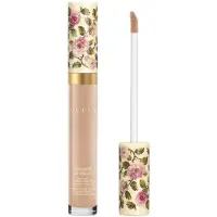Gucci Concentré de Beauté Concealer 8 ml Nr. 22W