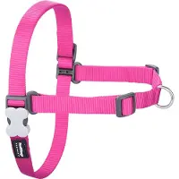 Red Dingo No-pull Hundsele