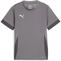 Puma Tränings T-Shirt teamGOAL - Grå/White Barn, storlek 164 cm