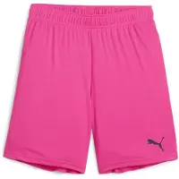 Puma teamGOAL Shorts Jr 705753-25