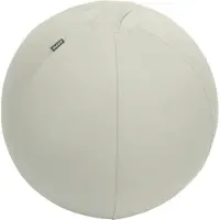 Leitz Active Antislip Sätesboll 55 Cm